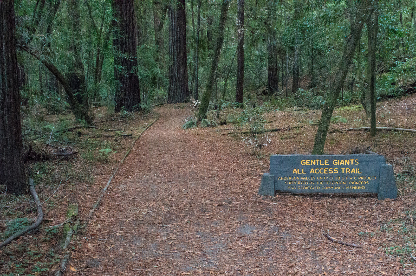 Gentle Giants All-Access Trail